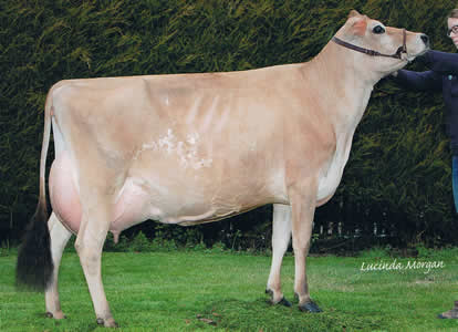 Bluegrass Coalitions Lady Carol